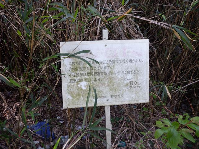 日野２団ビーバー隊活動写真その37