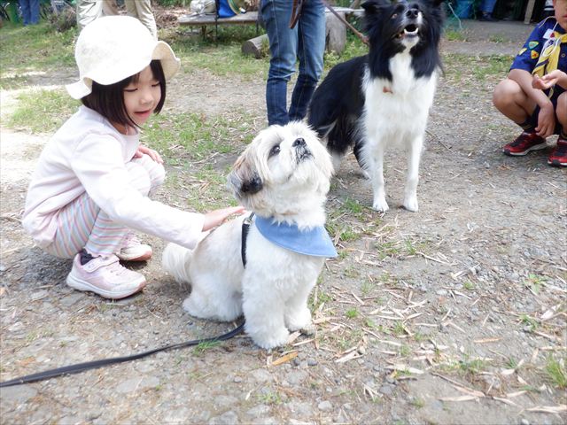 日野２団ビーバー隊活動写真その49