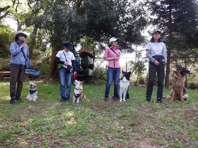 日野２団ビーバー隊活動写真その55