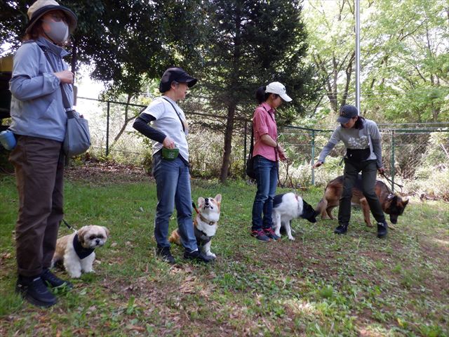 日野２団ビーバー隊活動写真その57