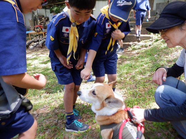 日野２団ビーバー隊活動写真その61