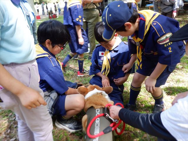 日野２団ビーバー隊活動写真その62