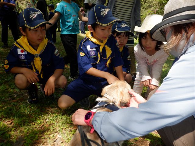 日野２団ビーバー隊活動写真その63