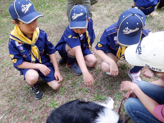 日野２団ビーバー隊活動写真その64