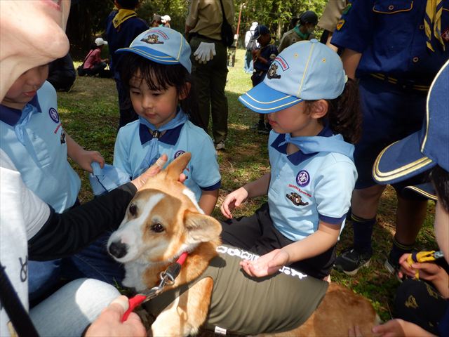 日野２団ビーバー隊活動写真その65