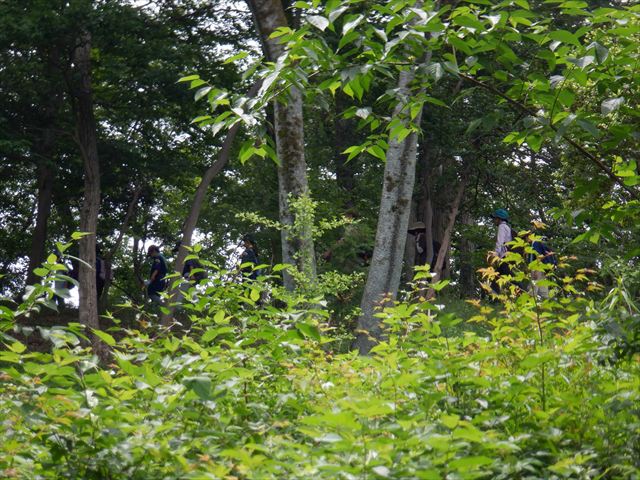 日野２団ビーバー隊活動写真その7