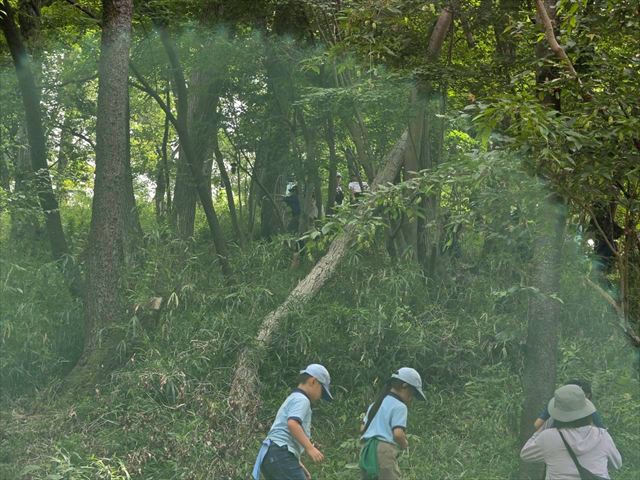 日野２団ビーバー隊活動写真その16
