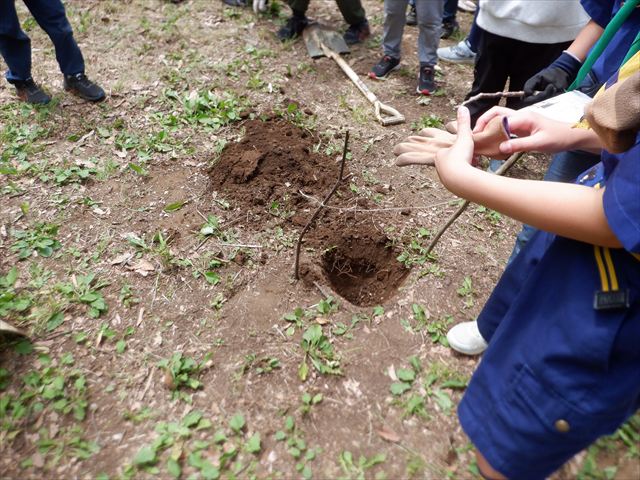 日野２団ビーバー隊活動写真その19