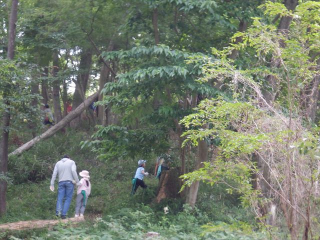 日野２団ビーバー隊活動写真その29