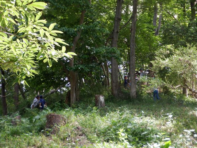 日野２団ビーバー隊活動写真その31