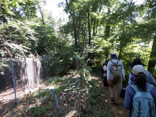 日野２団ビーバー隊活動写真その34