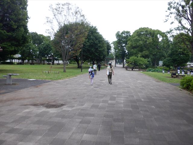 日野２団ビーバー隊活動写真その7