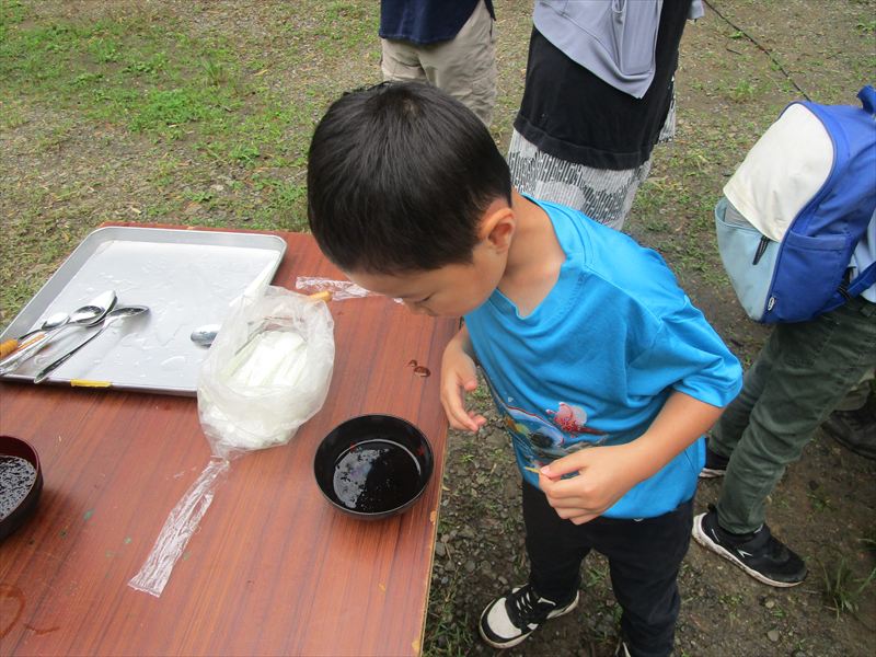日野２団ビーバー隊活動写真その19