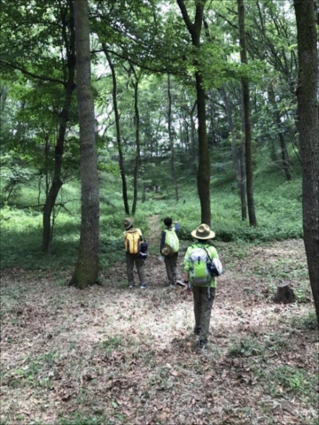 日野２団ボーイ隊活動写真その48