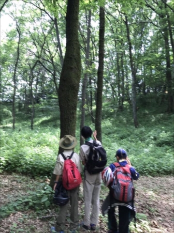 日野２団ボーイ隊活動写真その49