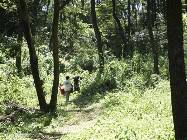 日野２団ボーイ隊活動写真その36