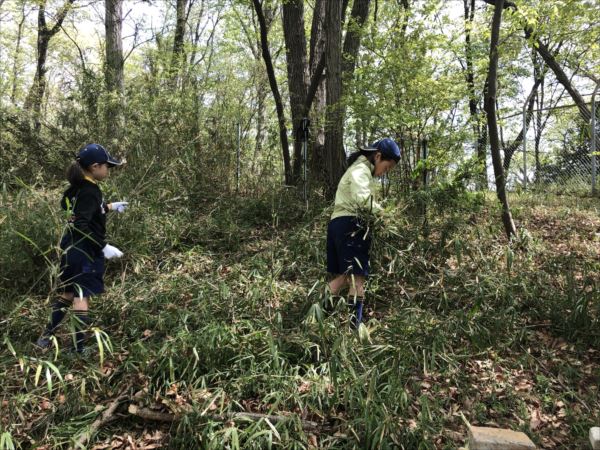 日野2団カブ隊の活動写真その7