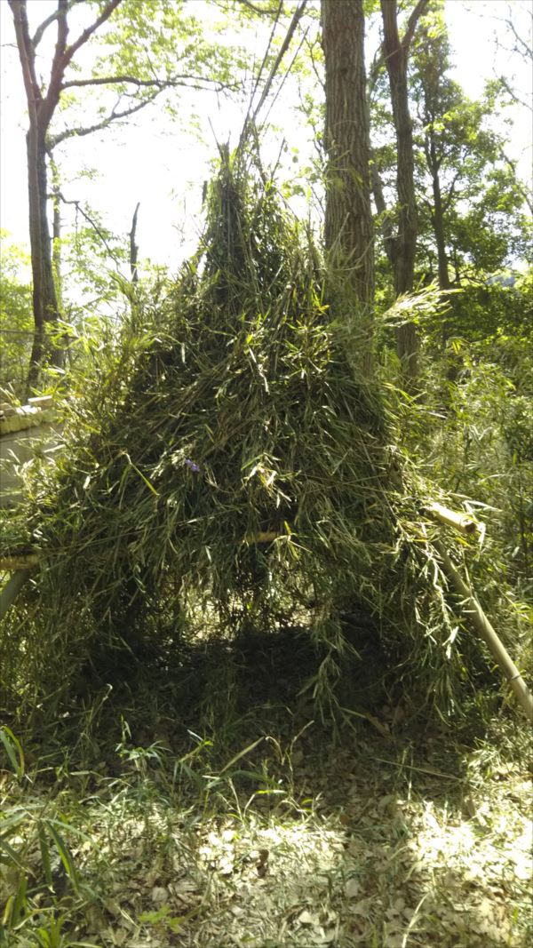 日野2団カブ隊の活動写真その25