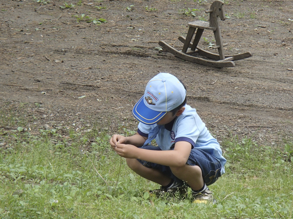 日野2団カブ隊の活動写真その12