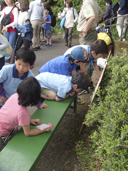 日野2団カブ隊の活動写真その40