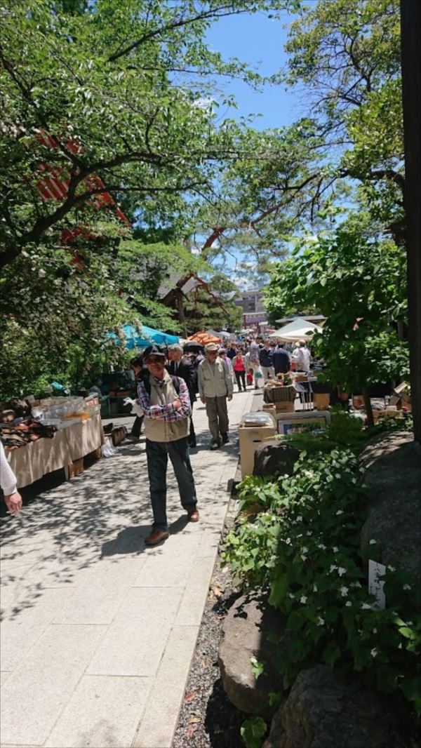 日野2団カブ隊の活動写真その24