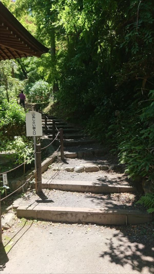 日野2団カブ隊の活動写真その25