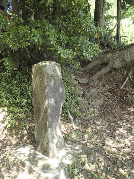 日野2団カブ隊の活動写真その47