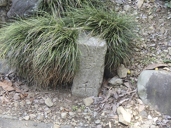 日野2団カブ隊の活動写真その53