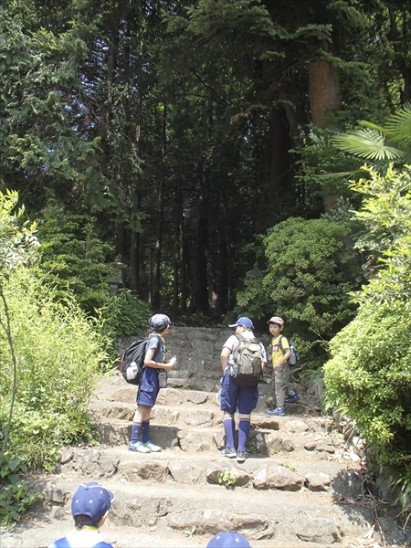 日野2団カブ隊の活動写真その60