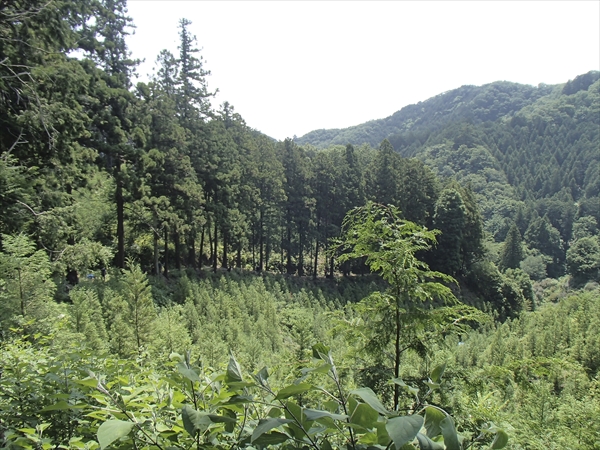 日野2団カブ隊の活動写真その62