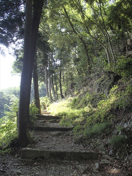 日野2団カブ隊の活動写真その63