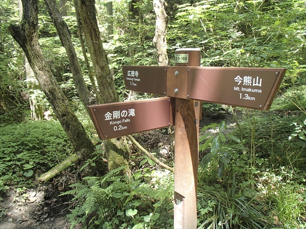 日野2団カブ隊の活動写真その29