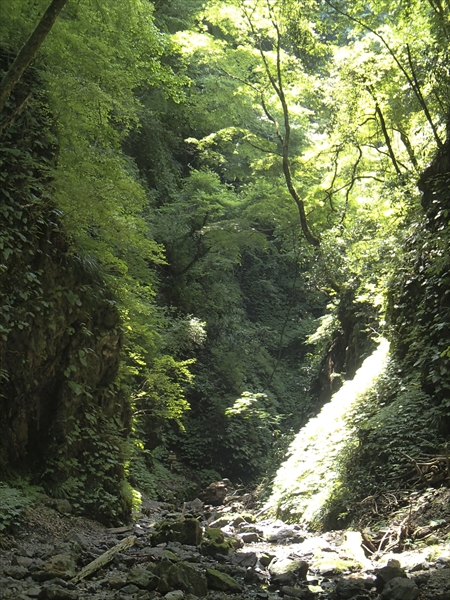 日野2団カブ隊の活動写真その32