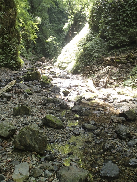 日野2団カブ隊の活動写真その33