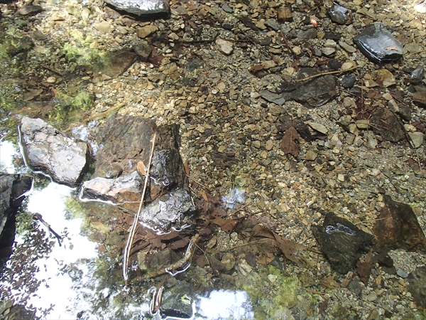 日野2団カブ隊の活動写真その34