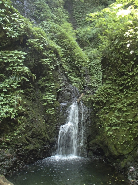 日野2団カブ隊の活動写真その35