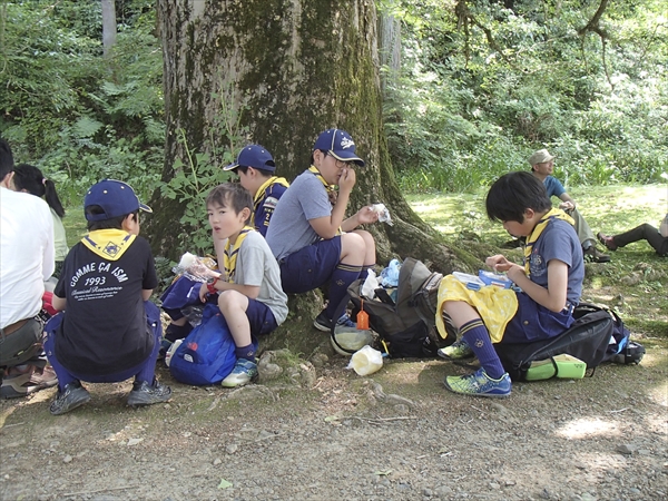 日野2団カブ隊の活動写真その52