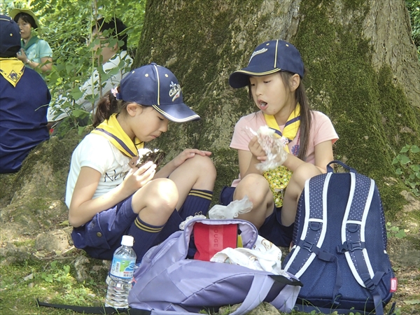 日野2団カブ隊の活動写真その55