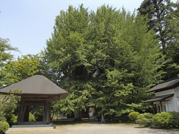 日野2団カブ隊の活動写真その56