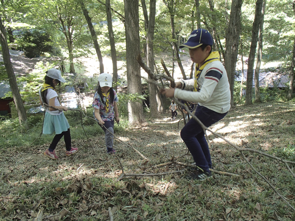 日野2団カブ隊の活動写真その49