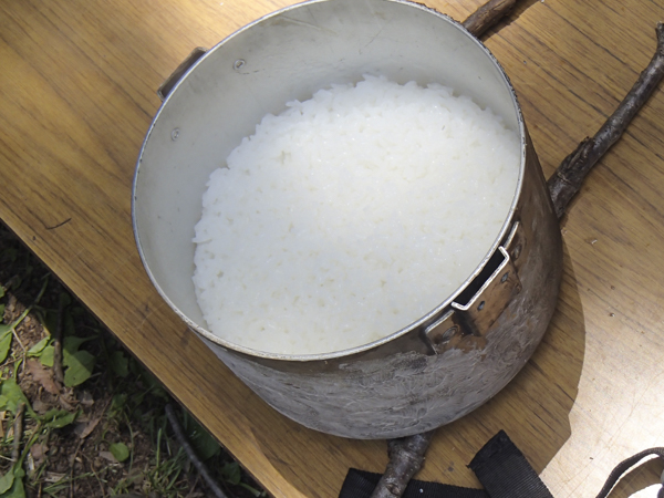 日野2団カブ隊の活動写真その61