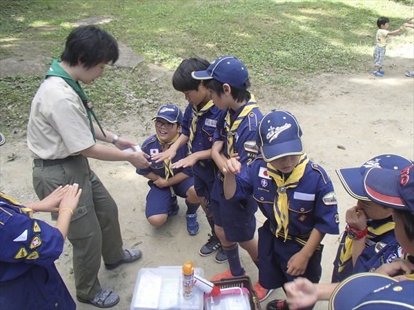 日野2団カブ隊の活動写真その1