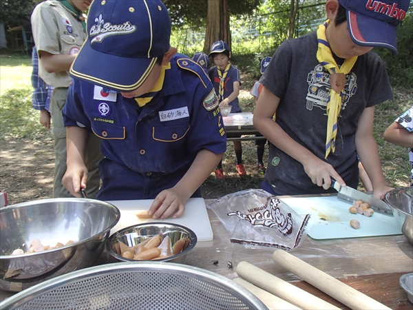 日野2団カブ隊の活動写真その29