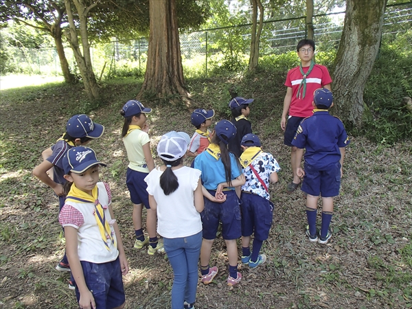 日野2団カブ隊の活動写真その42