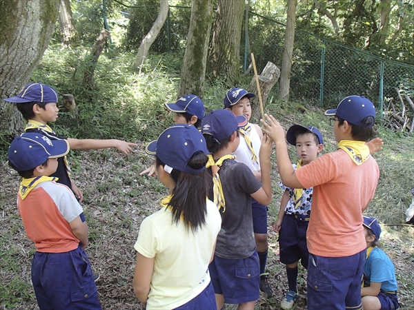 日野2団カブ隊の活動写真その46