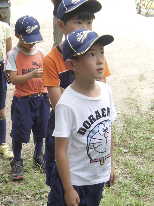 日野2団カブ隊の活動写真その36