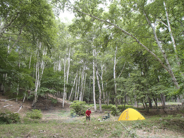 日野2団カブ隊の活動写真その5