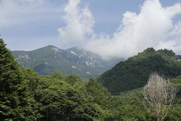 日野2団カブ隊の活動写真その26