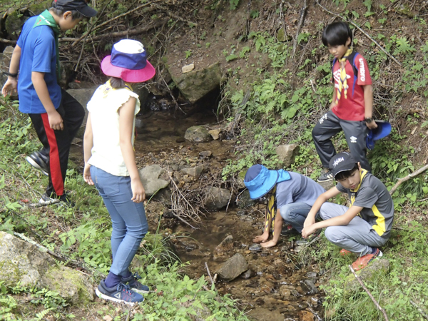 日野2団カブ隊の活動写真その27