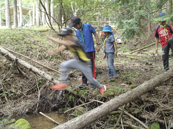 日野2団カブ隊の活動写真その31